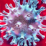 Image of a Coronavirus
